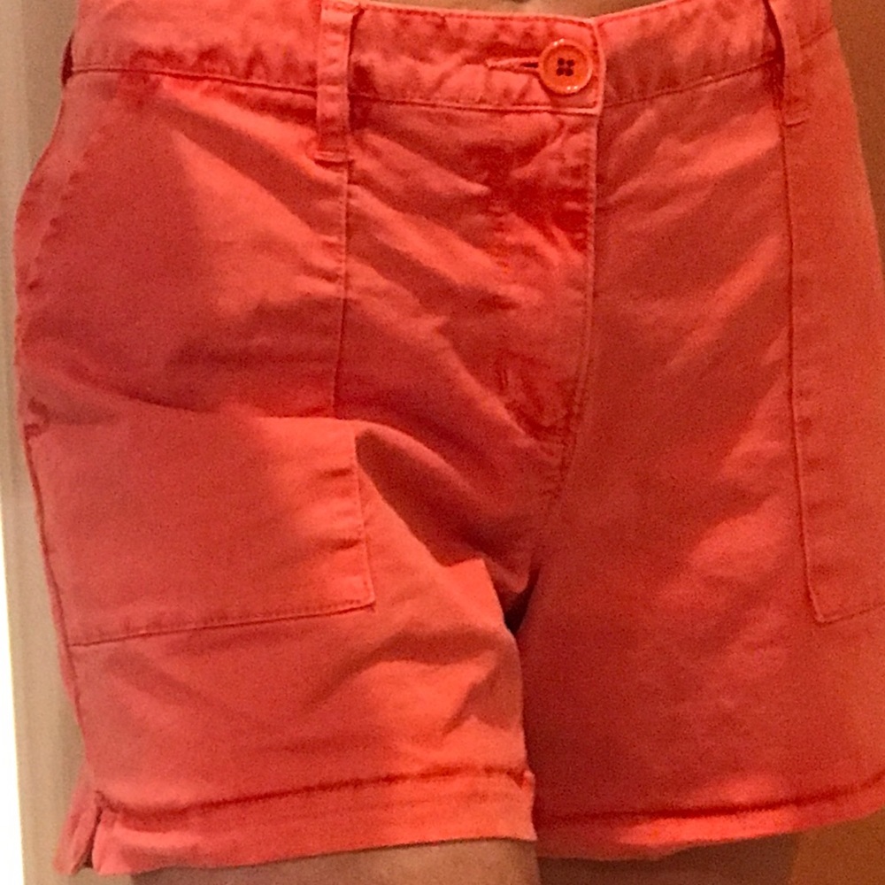 Anthropologie Sanctuary cargo shorts size 29
